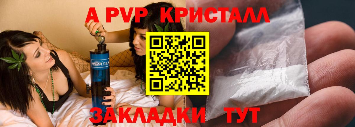 Альфа ПВП СК КРИС Лабинск