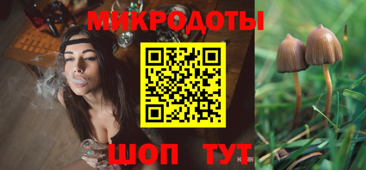 Лабинск  Галлюциногенные грибы Magic Shrooms  Псилоцибиновые грибы Magic Shrooms  Вход с VPN 