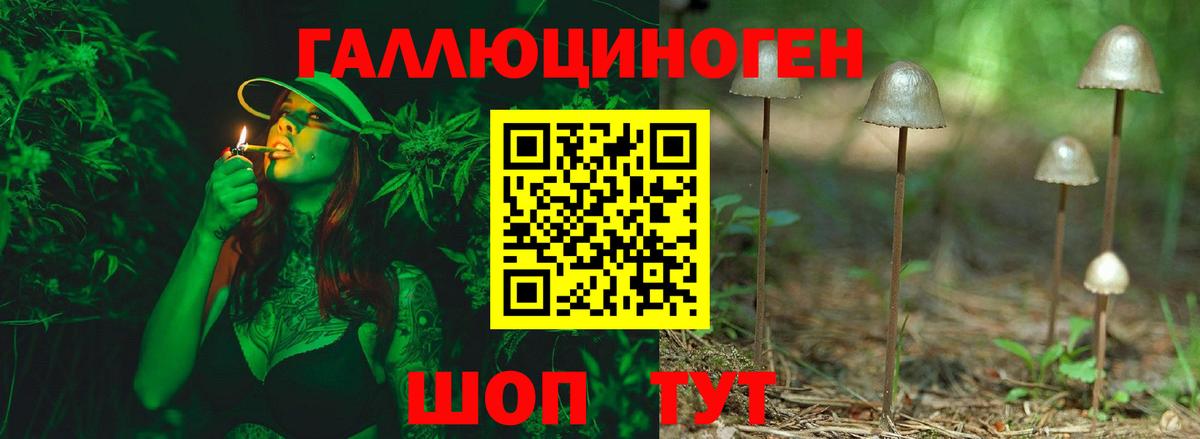Псилоцибиновые грибы мицелий Лабинск